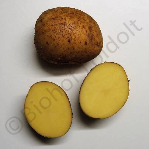Erdäpfel – Biohof Loidolt