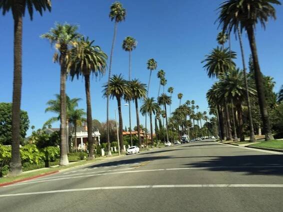 THE 5 BEST Hidden Gems in Beverly Hills (2025) - Tripadvisor