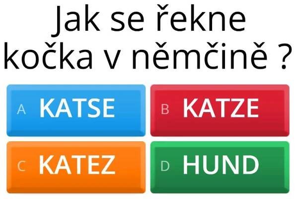 DEUTSCHLAND WORDWALL základy