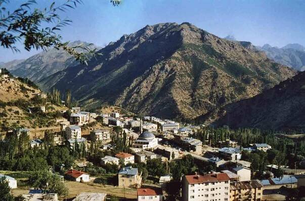 Hakkari Karot 0532 460 98 94