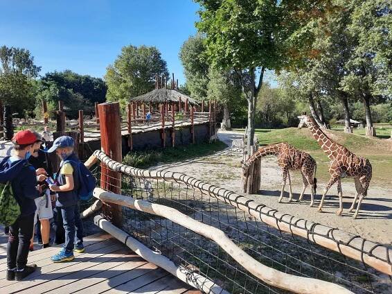 Zoo Dvůr Králové - tip na výlet u místa "Dvůr Králové nad Labem" | eMimino.cz