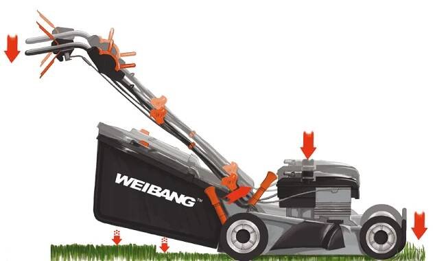 WB detail 17
