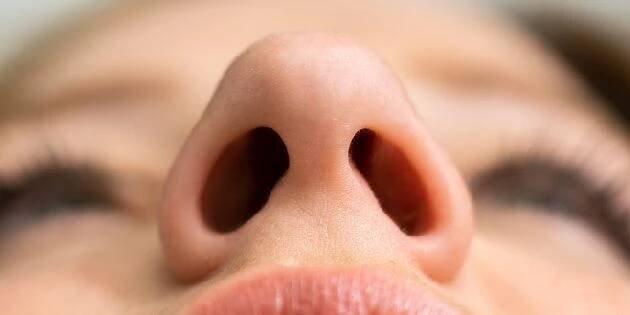 Nos a vedlejší nosní dutiny