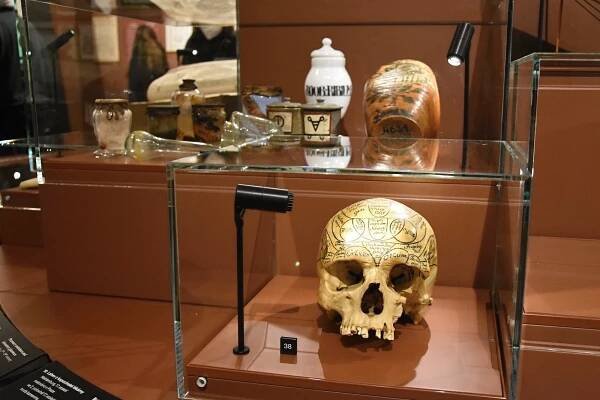 PODÍVEJTE SE: Nový pohled na historii. Národní muzeum otevřelo výstavu Dějiny