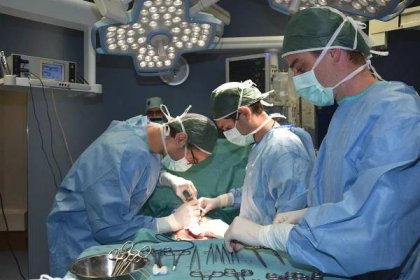 Medici v Plzni se učí operovat žlučník, střeva nebo cévy: Pacient? Přece čuník!