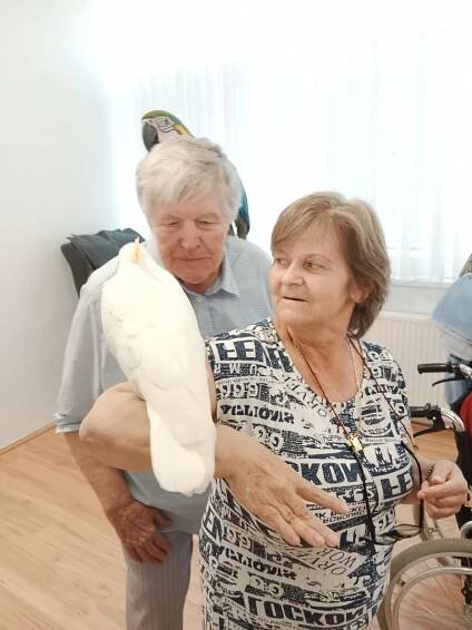 21. 9. 2023 Den otevřených dveří DD a DSS Sereď | Domov pro seniory Sokolnice, příspěvková organizace