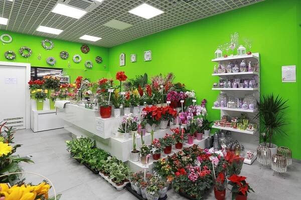 Flamengo květiny | Smetanova obchodní galerie Vsetín