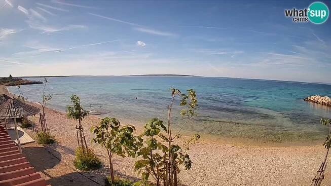 Webcam Strand in Gajac – Pag – Kroatien