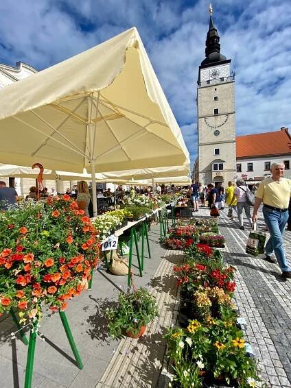 Pestrú ponuku mestského trhu nájdete priamo pred divadlom - Oficiálna stránka Mesta Trnava