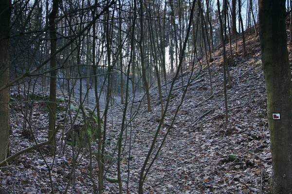 Soubor:Zřícenina hradu Doubravice nad Svitavou, okres Blansko (02).jpg