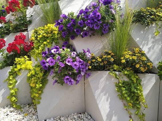 Olomouc - město květin. Výstaviště Flora jej obohatilo o jedinečná aranžmá i záhony | Výstaviště Flora Olomouc, a. s.