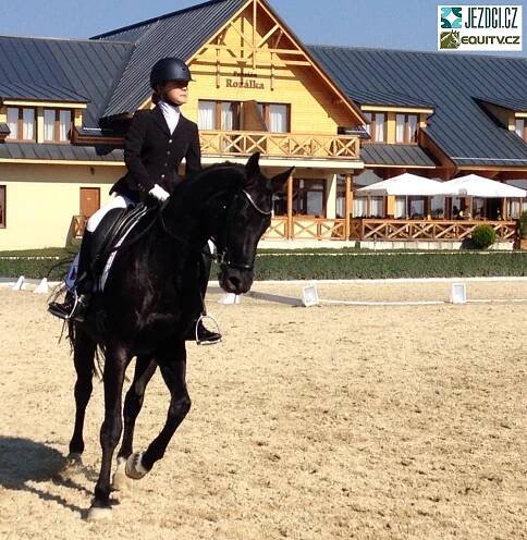 Neděle při DBT v Pezinku přinesla Čechům úspěchy | Jezdci.cz