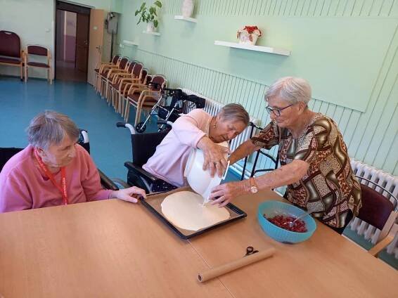 Pečení - rybízové řezy - Oficiální stránky Domov klidného stáří v Žinkovech