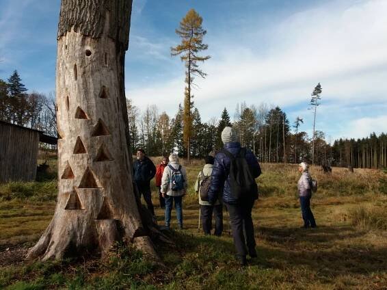 Lesem Pastviště aneb Co je vlastně les? - Doubravka - TOTEM Plzeň