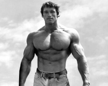 černobílý,Arnold Schwarzenegger,Kulturista,tělocvičny,model,zadní