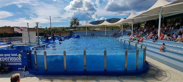 V delfináriu Marineland vás nadchne lachtaní, delfíní a papouščí show i krmení tučňáků.  Foto: autorka