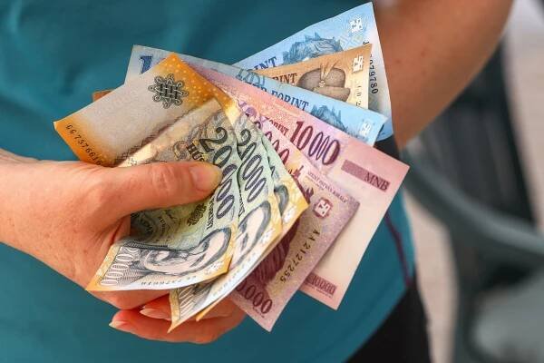 maďarské peníze, žena drží v ruce hrst maďarských forintů, různé bankovky, finanční koncept - maďarský forint - stock snímky, obrázky a fotky