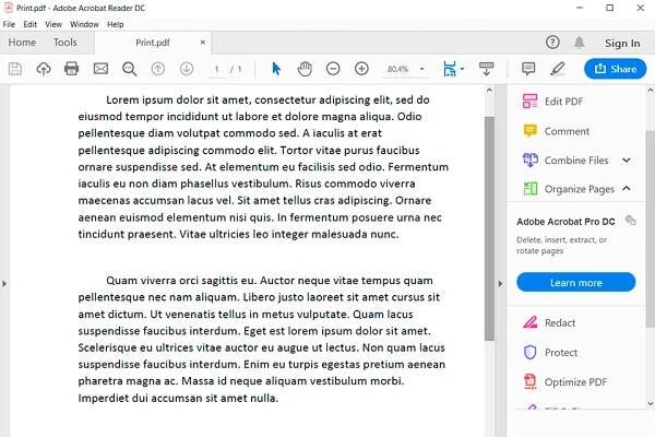 rozhraní čtečky Adobe Acrobat
