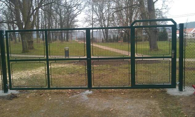 IMAG0645.jpg