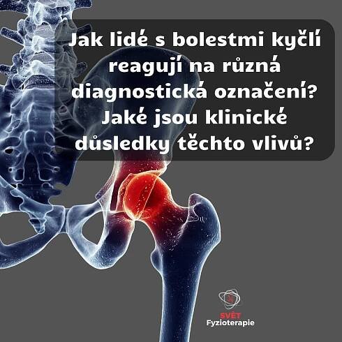 Kategorie: Kyčel a oblast pánve | Svět Fyzioterapie