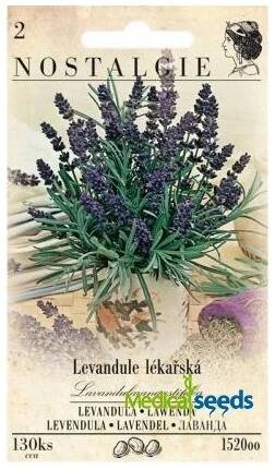 Levandule lékařská