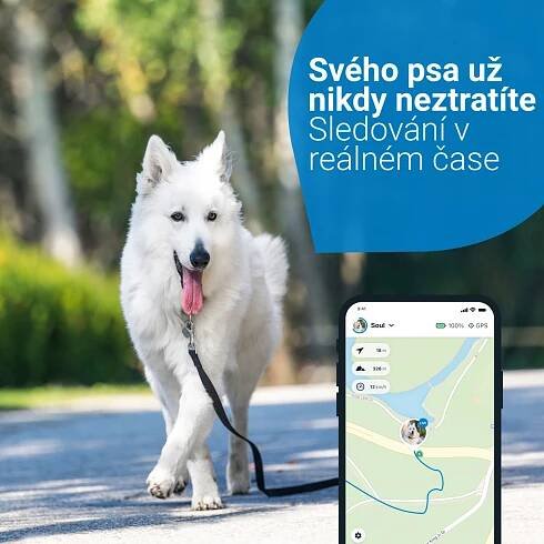 Tractive GPS DOG 4 – GPS sledování polohy a aktivity pro psy, modrý