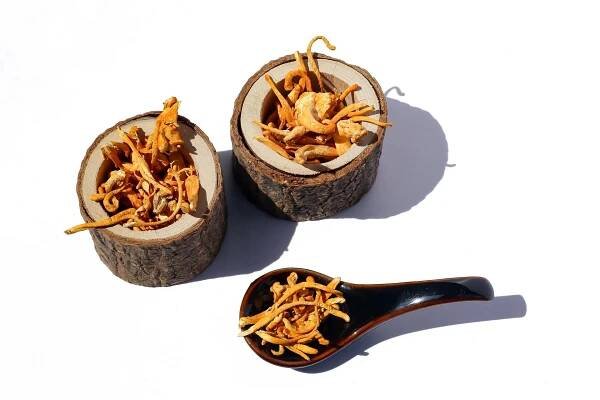 Sušený cordyceps