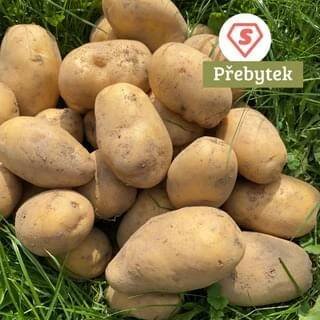 Scuk.cz Farma rodiny Němcovy_Brambory odrůda Marabel - varný typ B, min. 5 kg