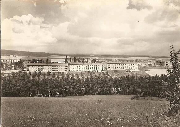 TŘEBÍČ - Borovina - Pohlednice místopis