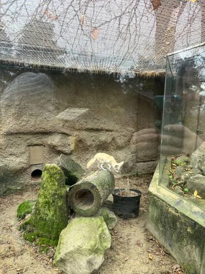 ZOO Olomouc – Základní škola a Mateřská škola Žďárná