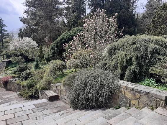 VIDEO: Arboretum Nový Dvůr na jaře. Návštěvníky láká nejen na skleníkové novinky