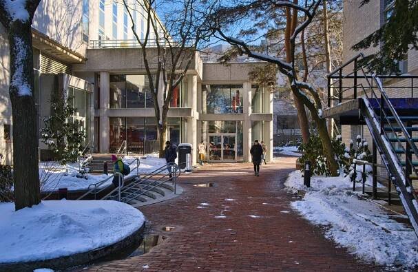 Northeastern University Clubs: Enhancing Student Life Beyond the Classroom