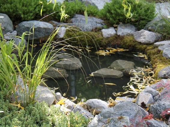 Small pond ideas – 3 easy ways to create a pool that will suit every garden