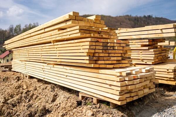 Dřevo: Všechno, co o něm potřebujete vědět