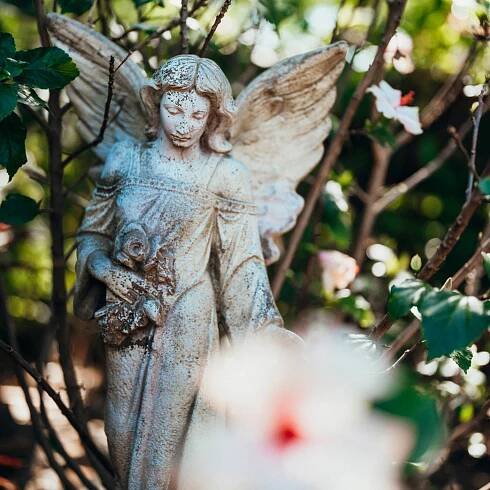 A weathered stone angel statue stands among green foliage and branches, holding a rose, with blurred flowers in the foreground.