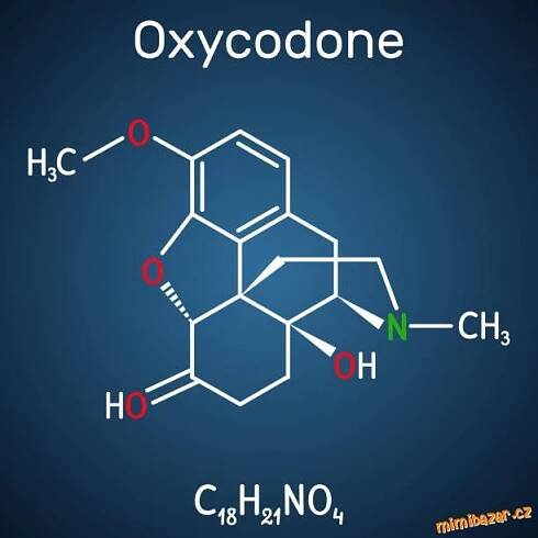 Prodám - Prodám oxykodon, Kroměříž
