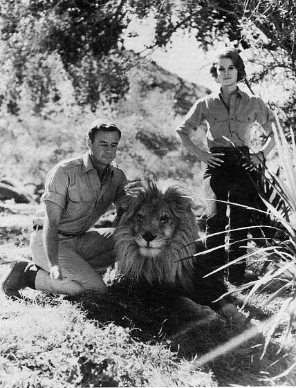 Cast and Crew