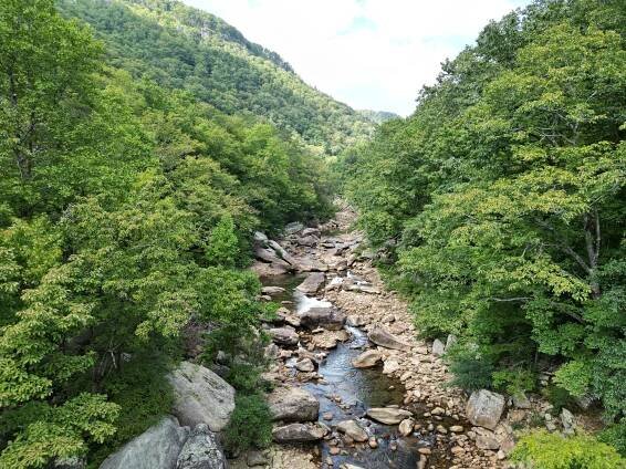 Discover the untouched wilderness of Lookout Mountain at Cloud Camp.