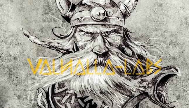 Valhalla-intro