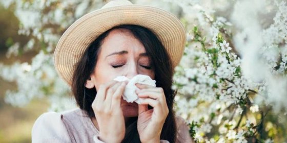 Pylová alergie: Co o ní víme a jak ji zvládnout co nejlépe i jako zahrádkář