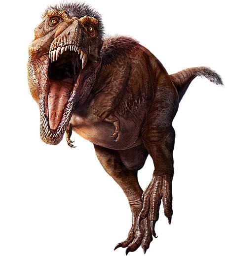 Illustration of T. rex.