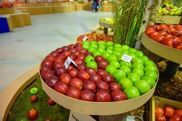 Flora Olomouc - Hortikomplex | Výstaviště Flora Olomouc, a. s.