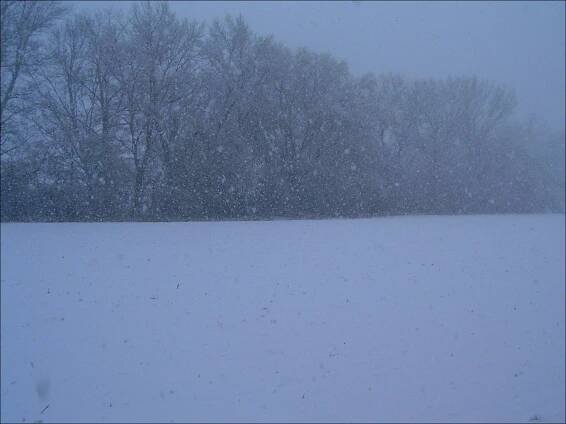 Výdatné sneženie pri Zlatnianke. (r.2007/hp635)