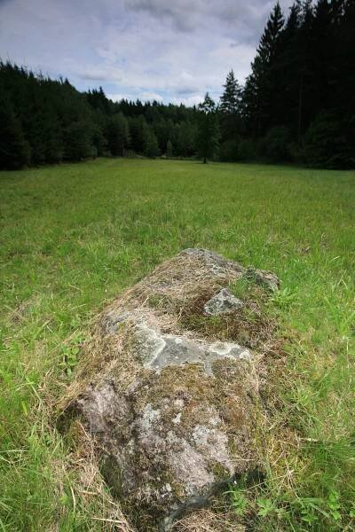 Fotografie - Příroda Tachovska | EUREGIO EGRENSIS