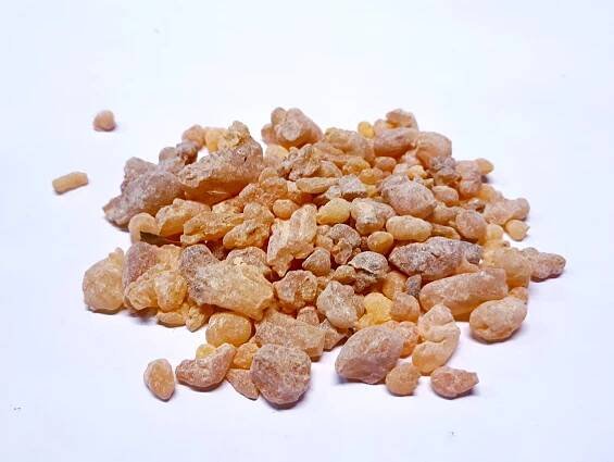 Boswellia sacra 