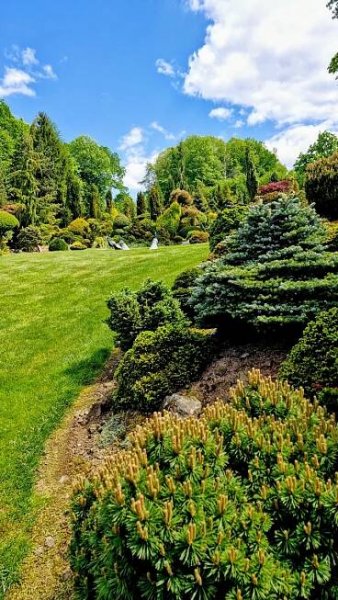 Tip na výlet a skvělý relax. Miniarboretum u Holubů ve Staříči
