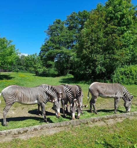 ZOO OSTRAVA