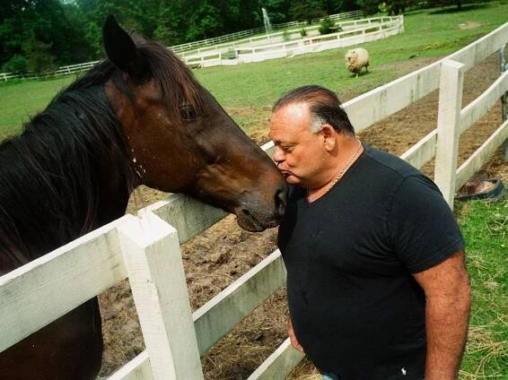 In the Mafia’s Shadow, a Son Honors His Father