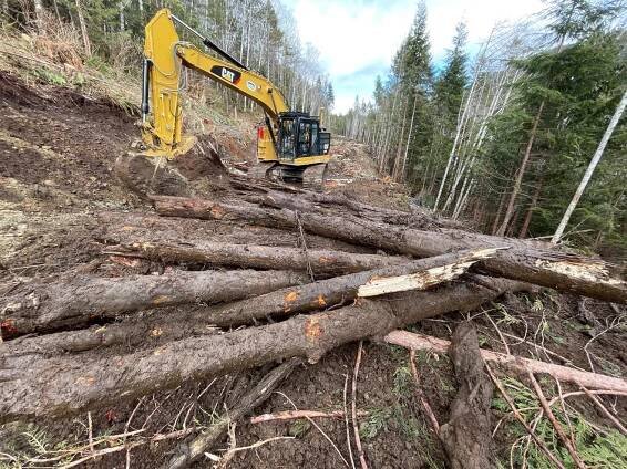 Forestry - Speers Construction Inc.