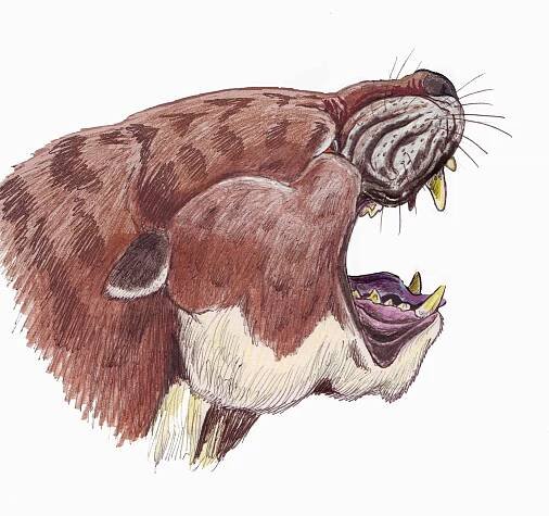 Creodonta